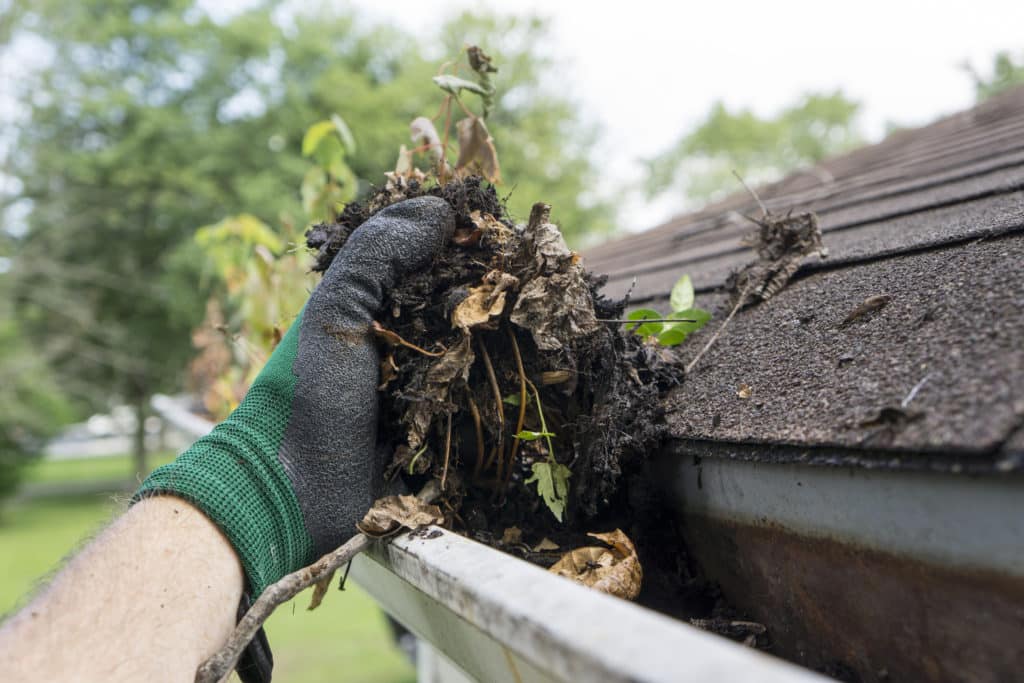 Gutter Cleaning FAQs